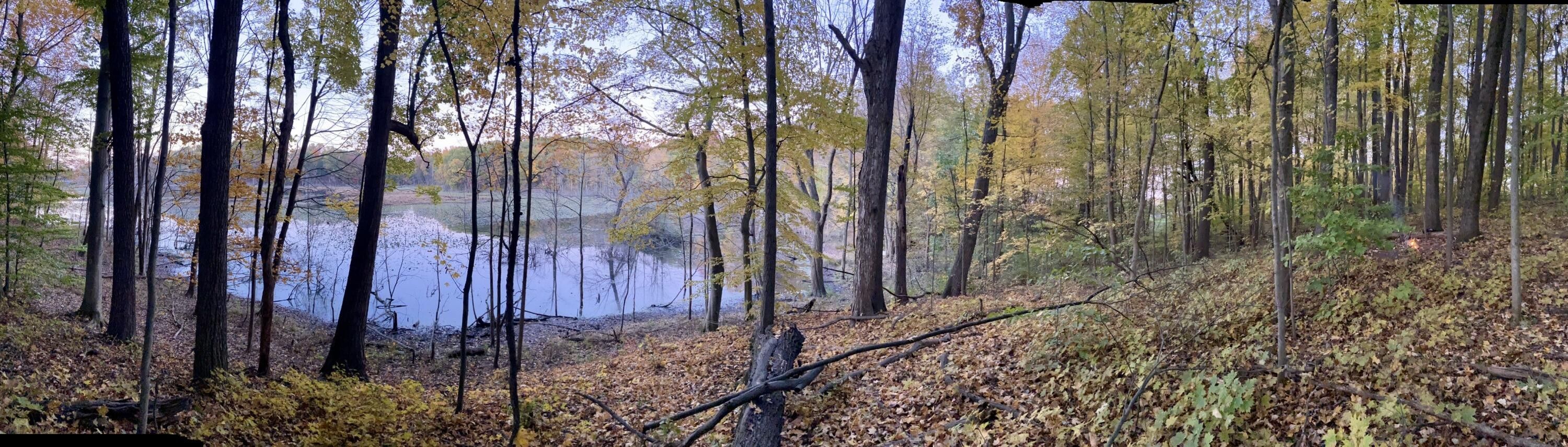 Lawton, Van Buren County, MI Undeveloped Land, Lakefront Property