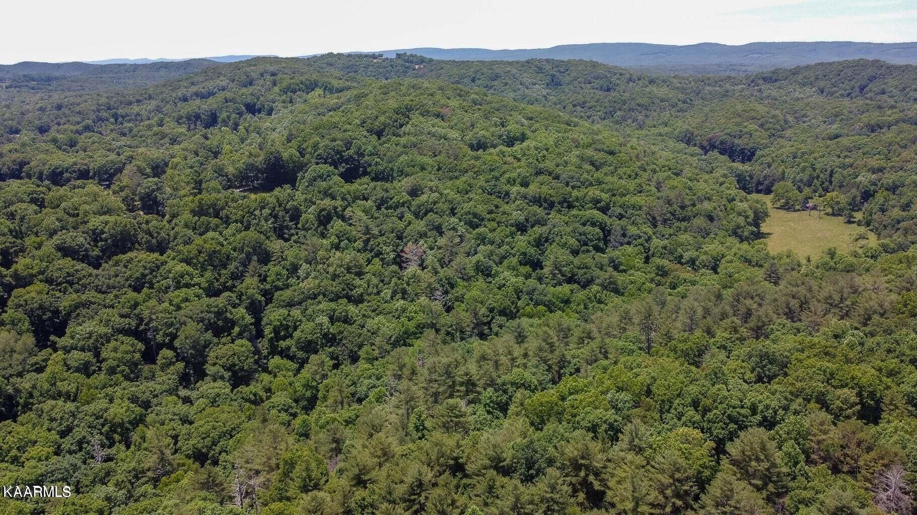 Oakdale, County, TN Undeveloped Land for sale Property ID