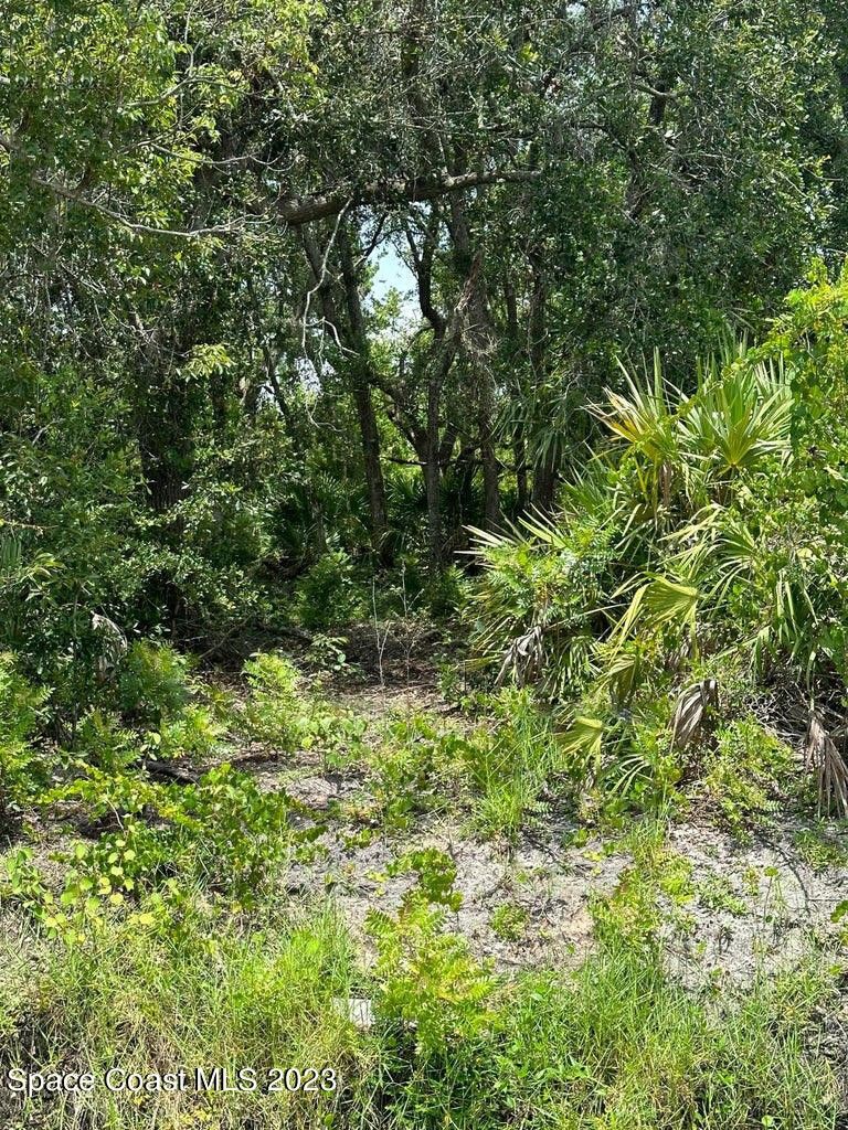 Cocoa, Brevard County, FL Undeveloped Land for sale Property ID