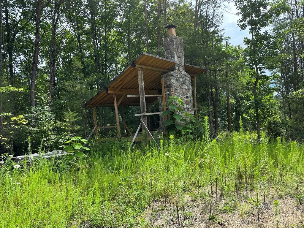 Cosby, Cocke County, TN Undeveloped Land, Homesites for sale Property