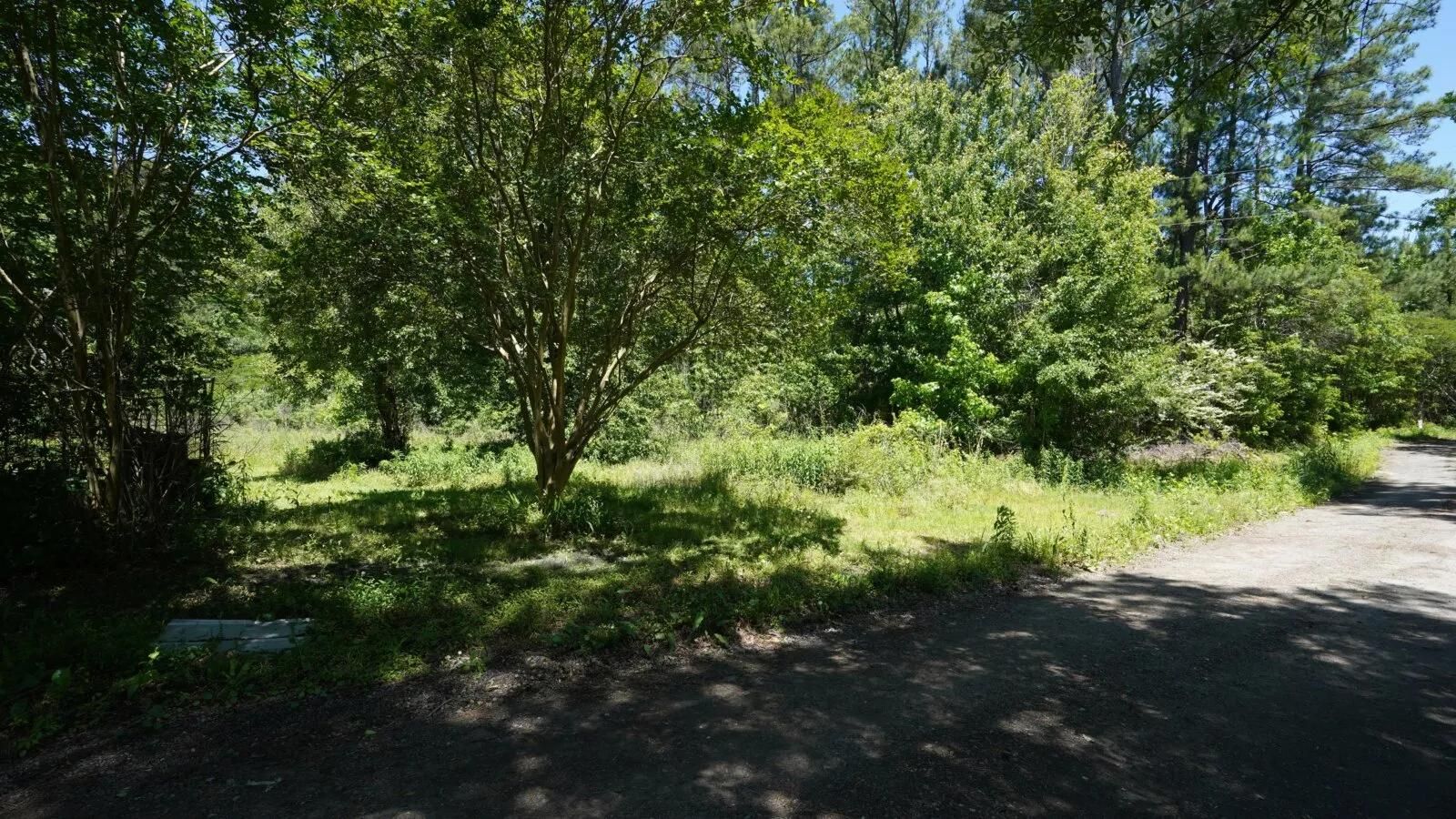 County, SC Undeveloped Land, Homesites for sale