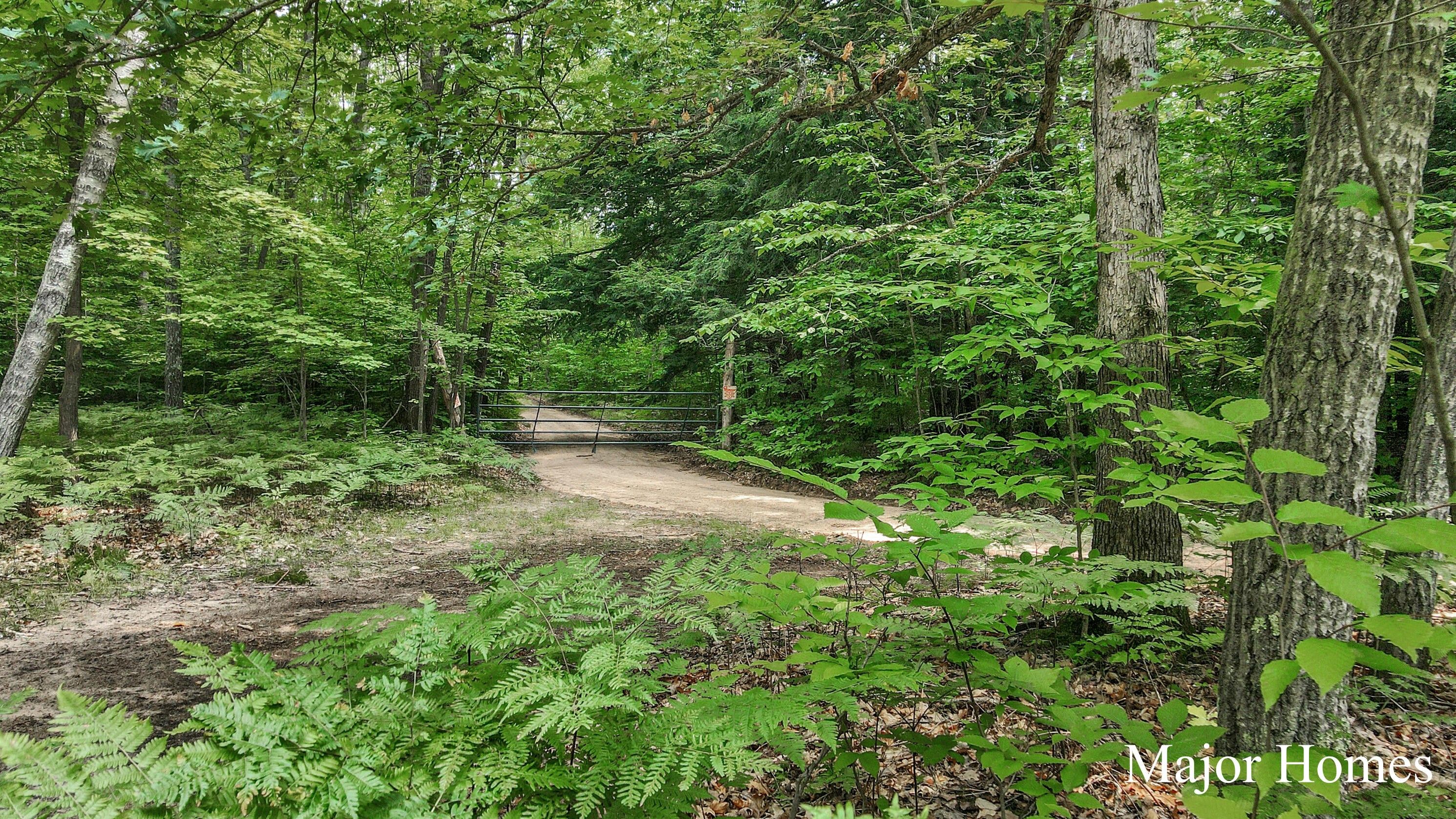 Chase, Lake County, MI Undeveloped Land for sale Property ID 417404750