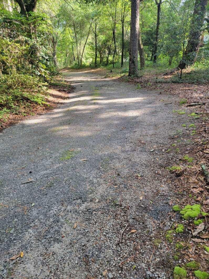 Wagener, Aiken County, SC House for sale Property ID 417405065 LandWatch