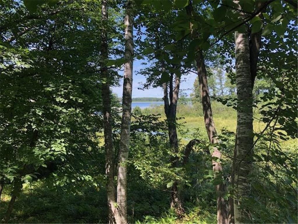 Hackensack, Cass County, MN Lakefront Property, Waterfront Property