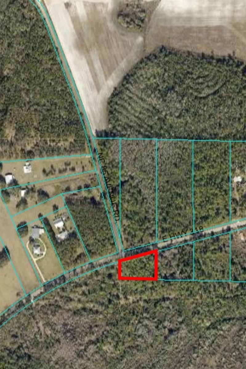 Citra, Marion County, FL Undeveloped Land, Homesites for sale Property