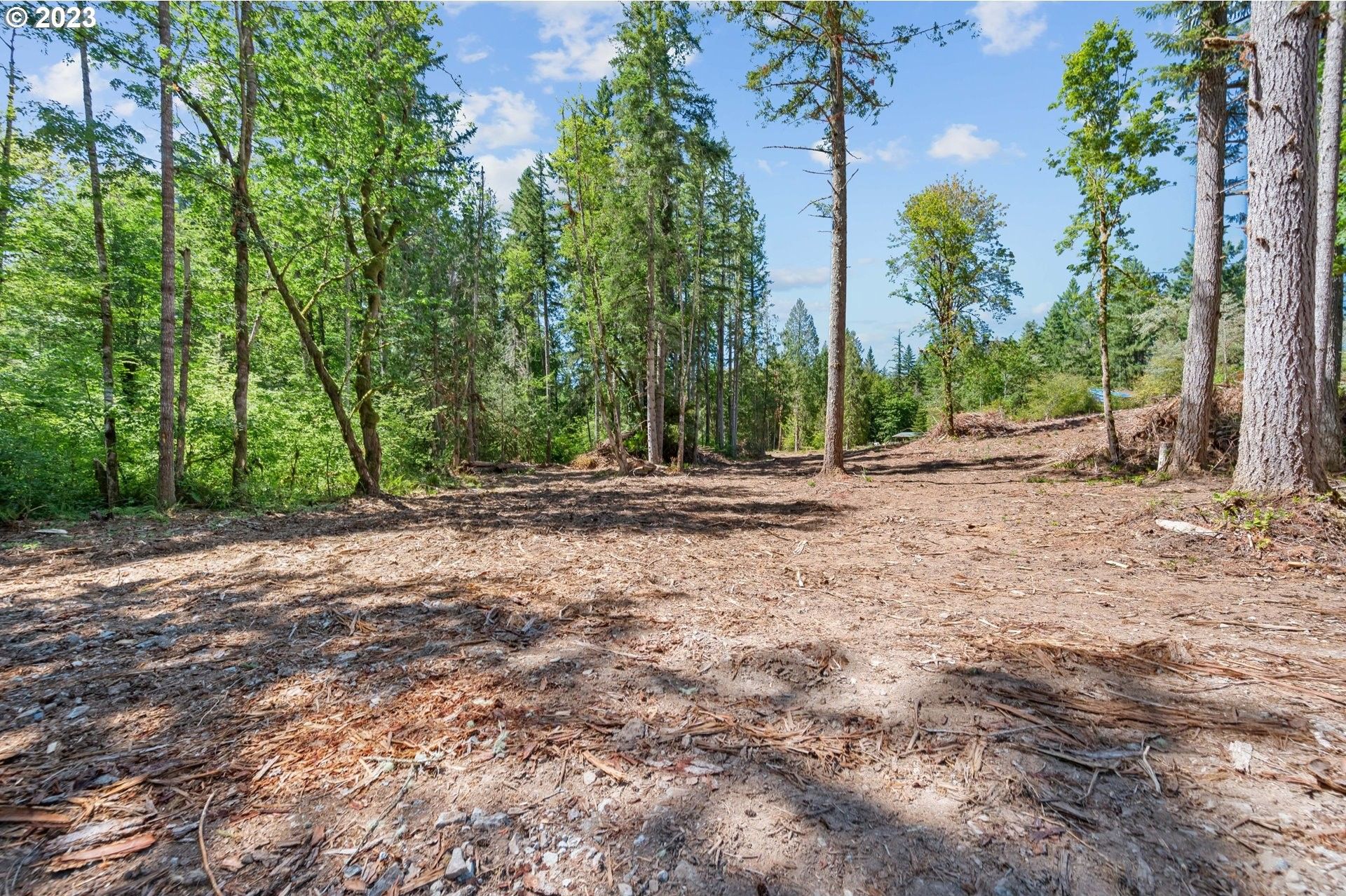 Molalla, Clackamas County, OR Undeveloped Land for sale Property ID