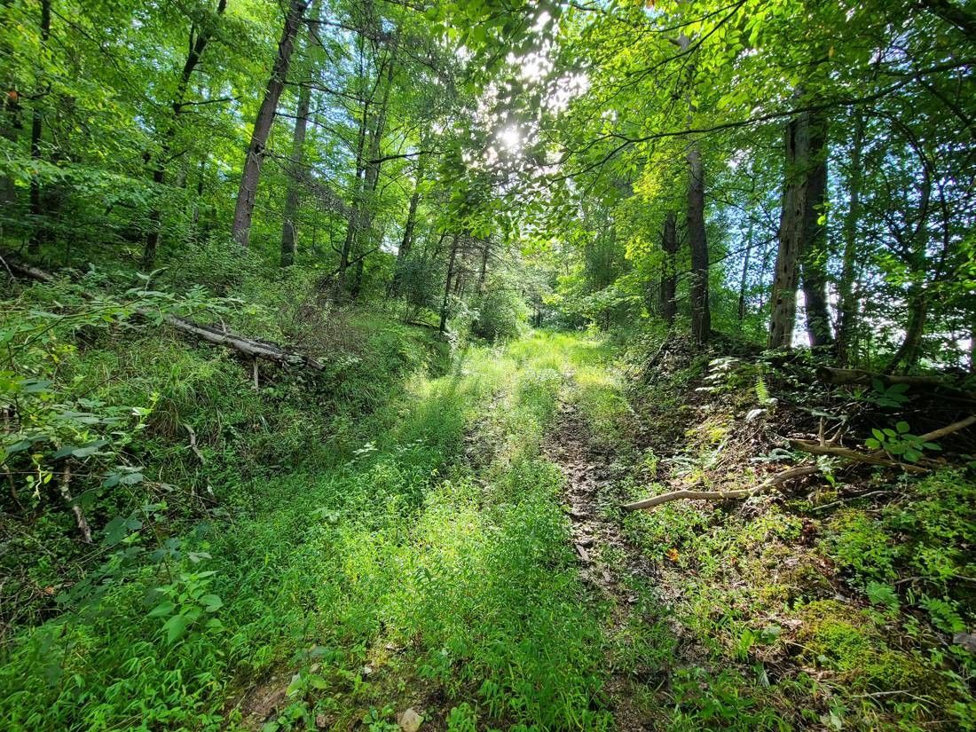 Elizabeth, Wirt County, WV for sale Property ID 417408010 LandWatch