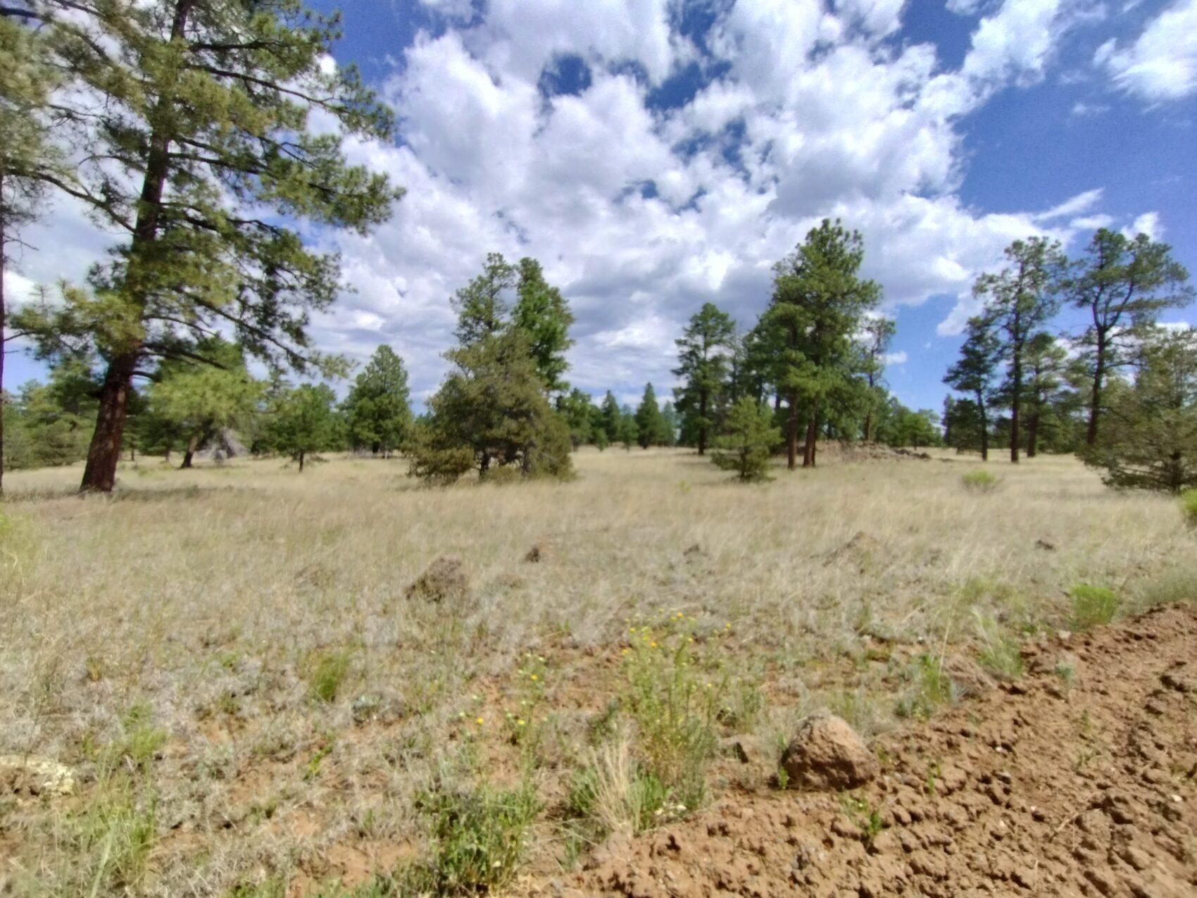 Ramah, Cibola County, NM Recreational Property for sale Property ID 417408171 LandWatch