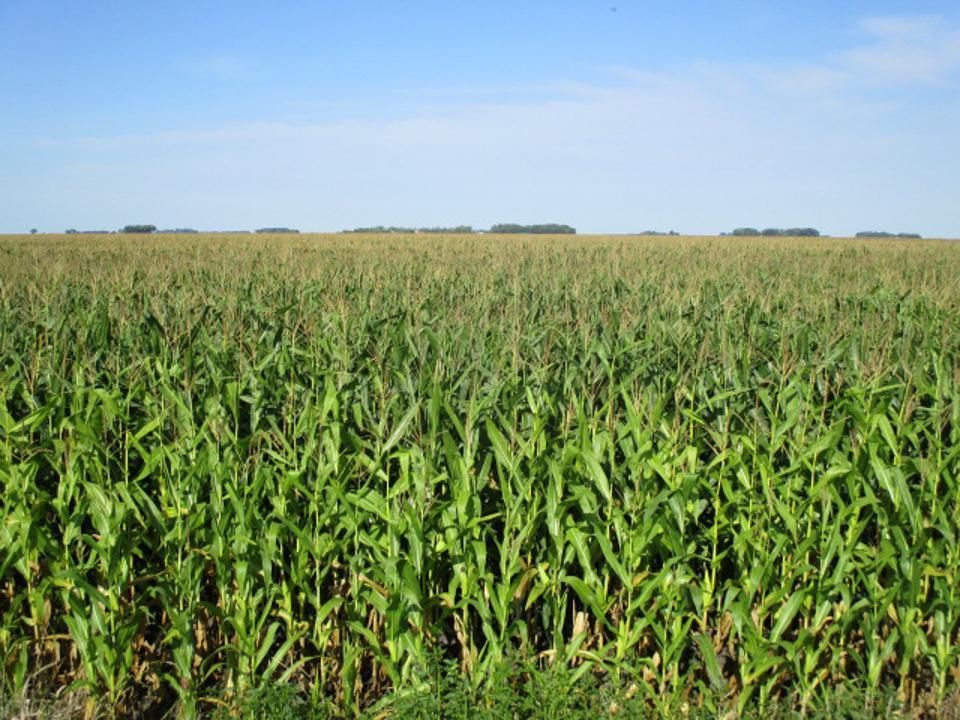 Felton, Clay County, MN Farms and Ranches for sale Property ID 417409175 LandWatch