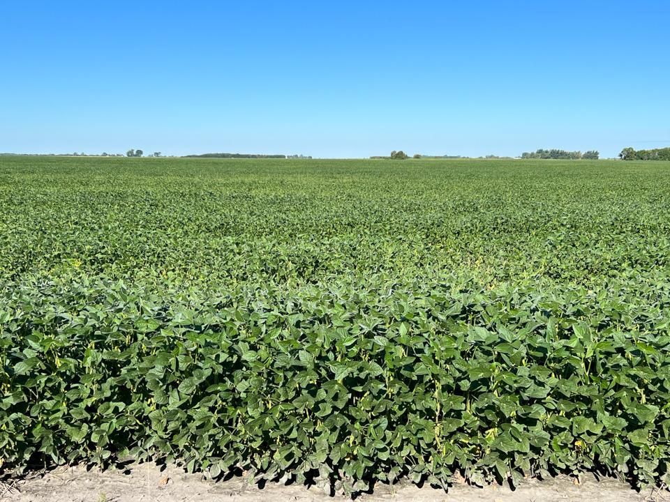 Oklee, Polk County, MN Farms and Ranches for sale Property ID