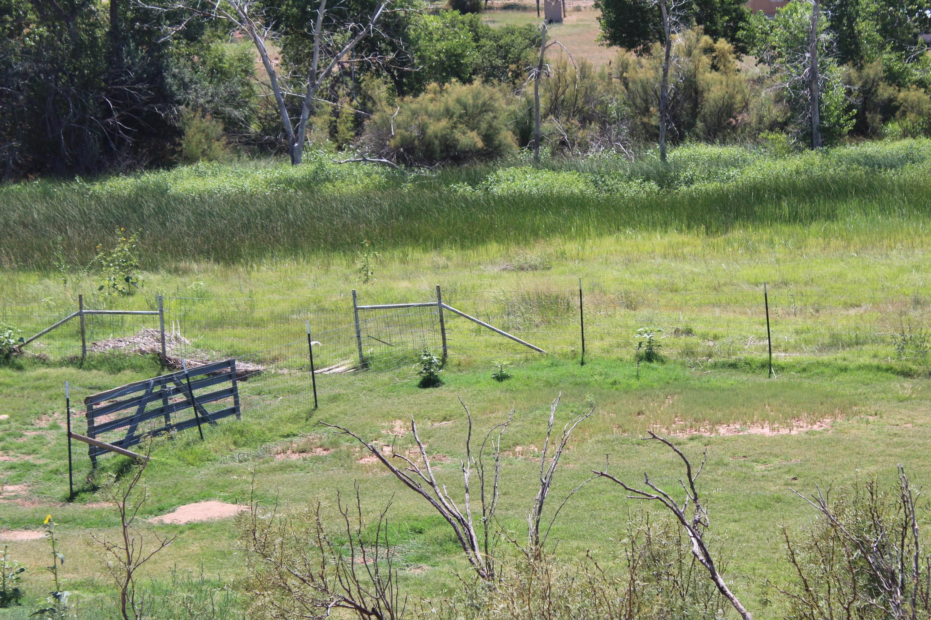 Amarillo, Potter County, TX House for sale Property ID 417410297