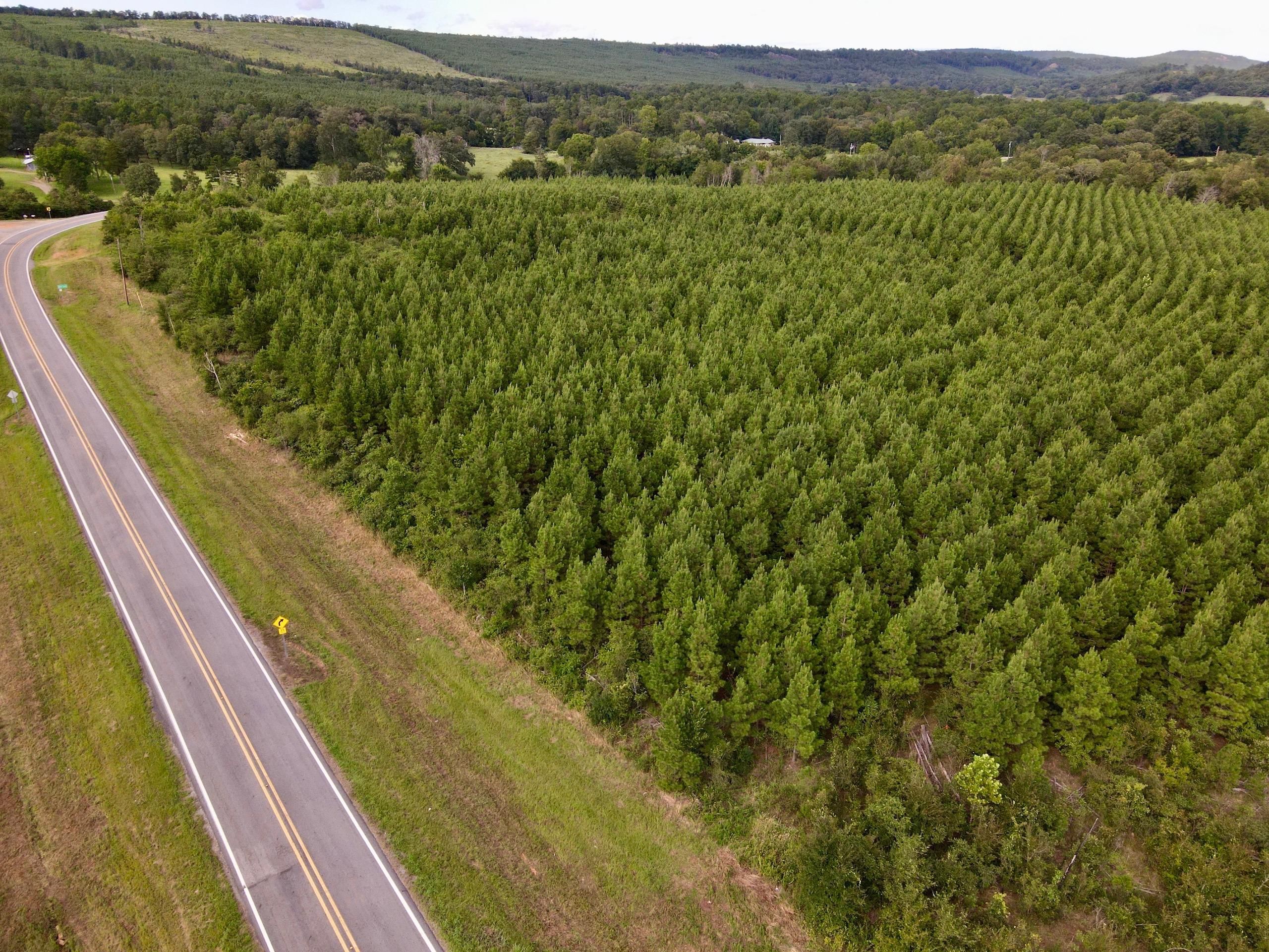 Casa, Perry County, AR Recreational Property, Timberland Property for