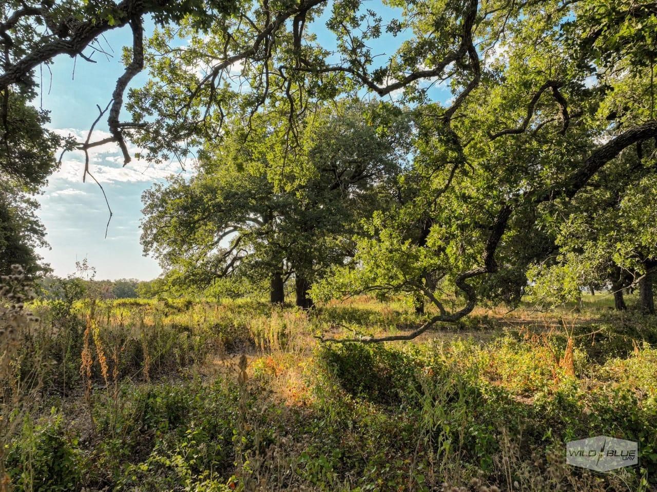 Gorman, Comanche County, TX Farms and Ranches, Recreational Property