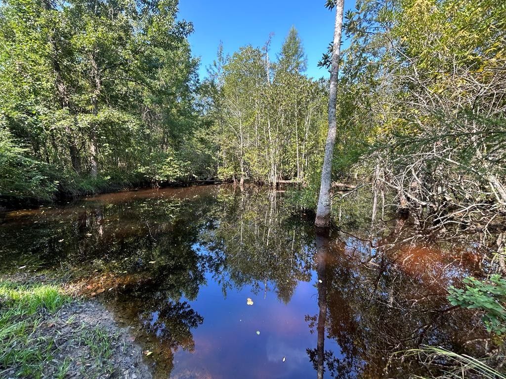 Dothan, Houston County, AL for sale Property ID 417413851 LandWatch