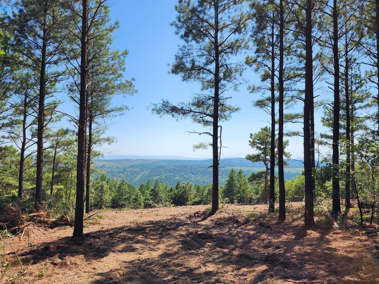 Heavener, Le Flore County, OK Undeveloped Land for sale Property ID