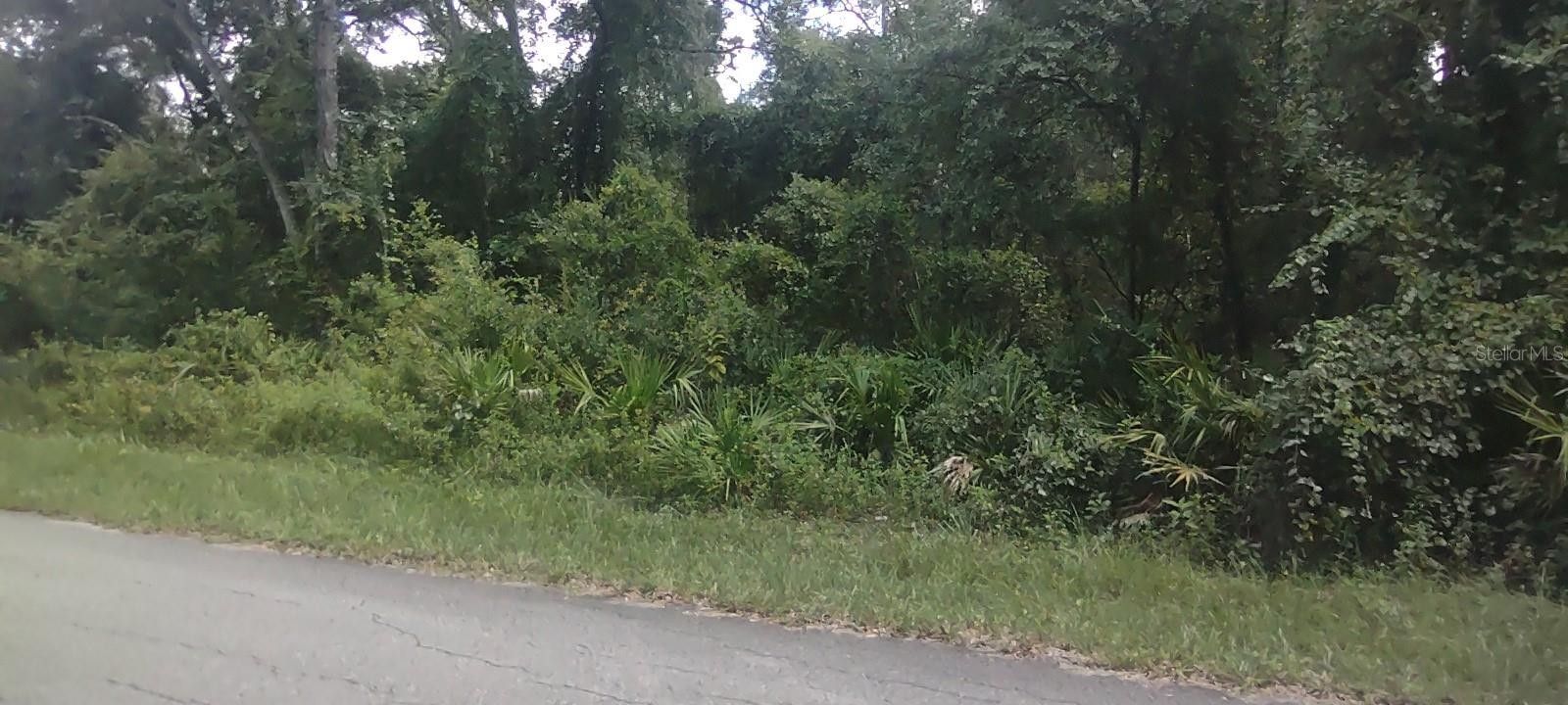 ster, Sumter County, FL Undeveloped Land, Homesites for sale