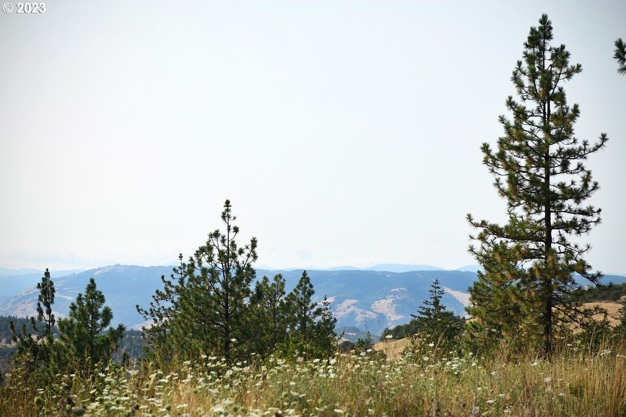 Rowena, Wasco County, OR Undeveloped Land for sale Property ID 417415821 LandWatch