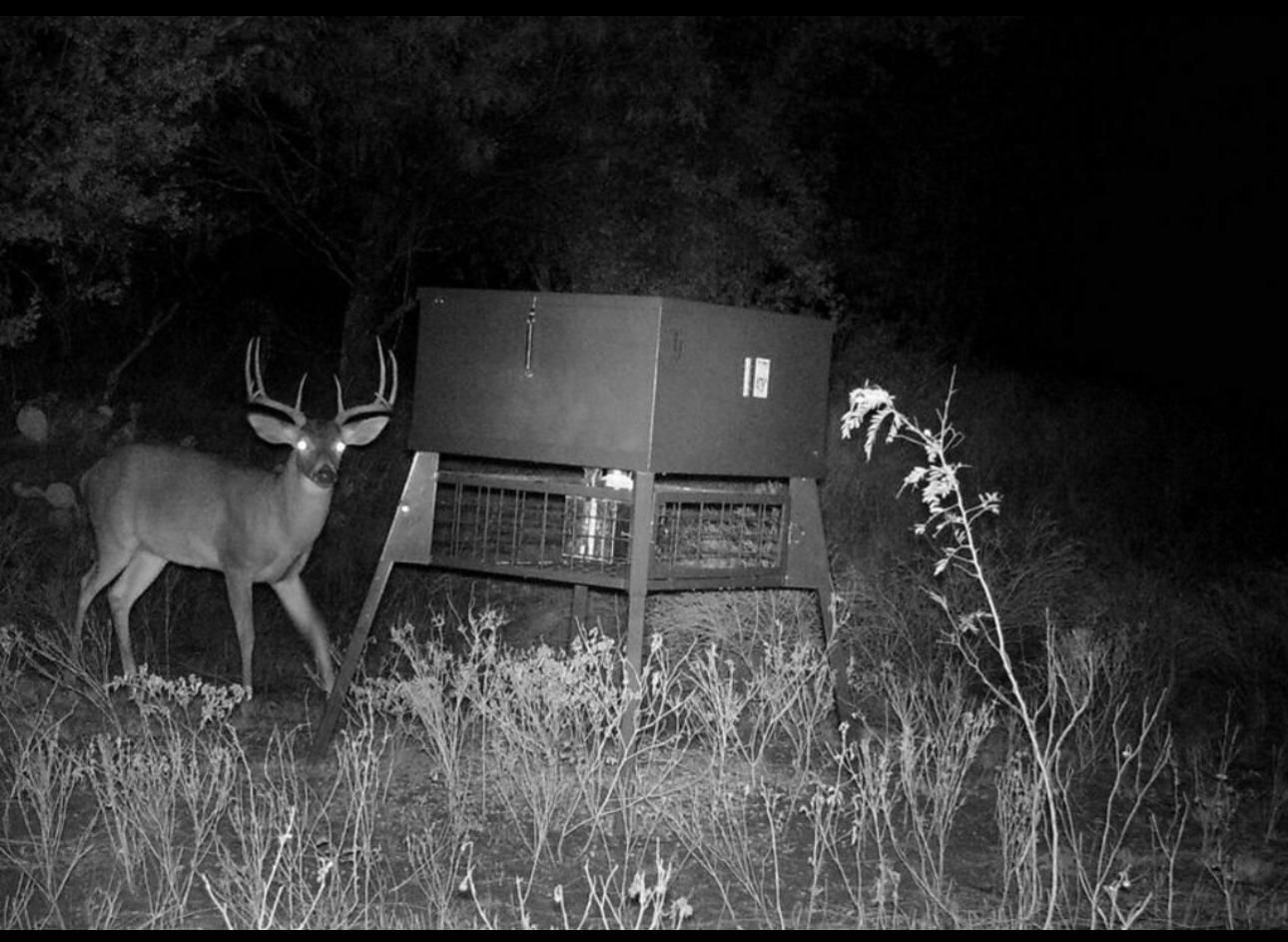 Menard, Menard County, TX Farms and Ranches, Undeveloped Land, Hunting Property for sale