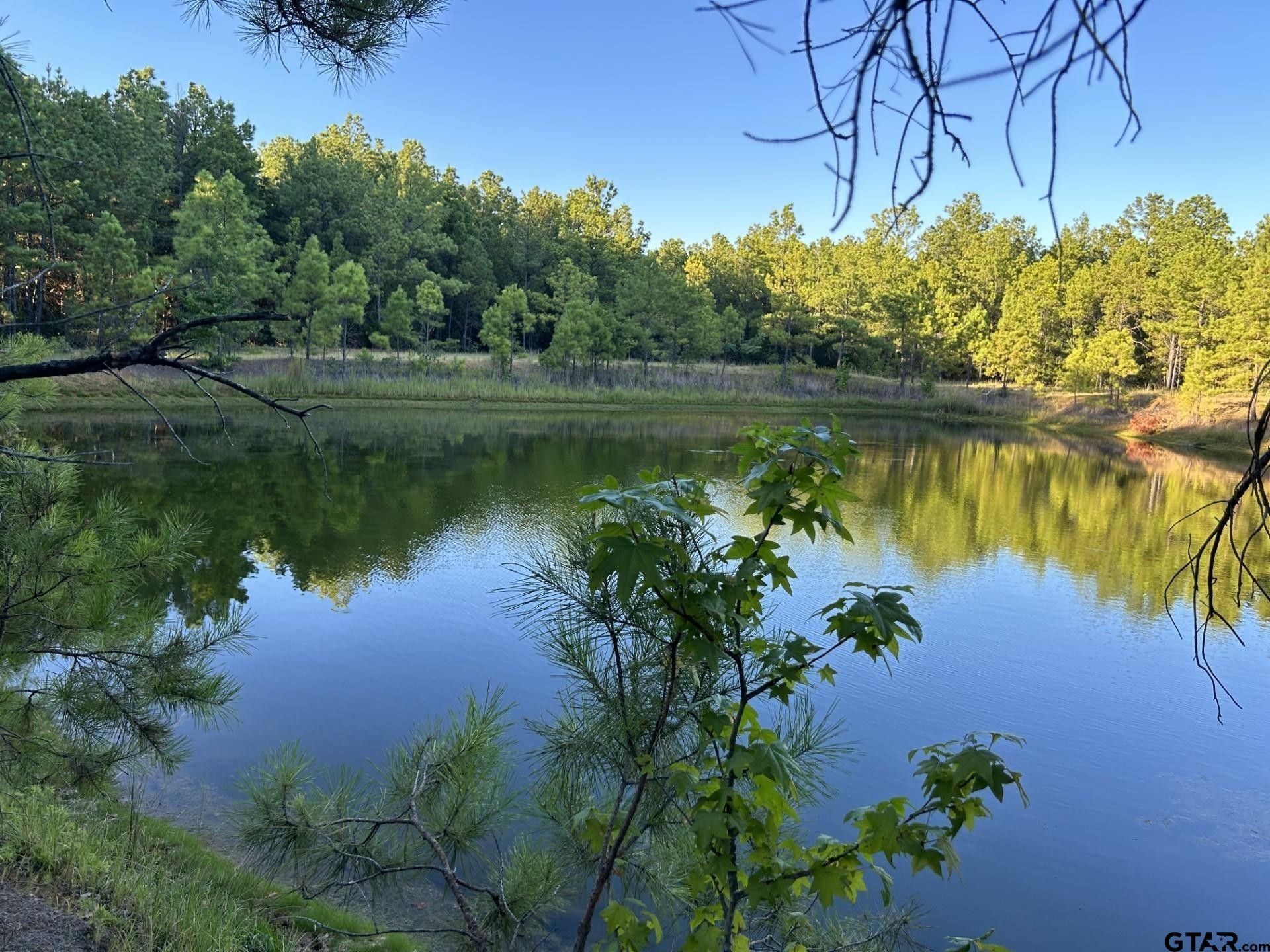 Mineola, Wood County, TX Farms and Ranches, House for sale Property ID