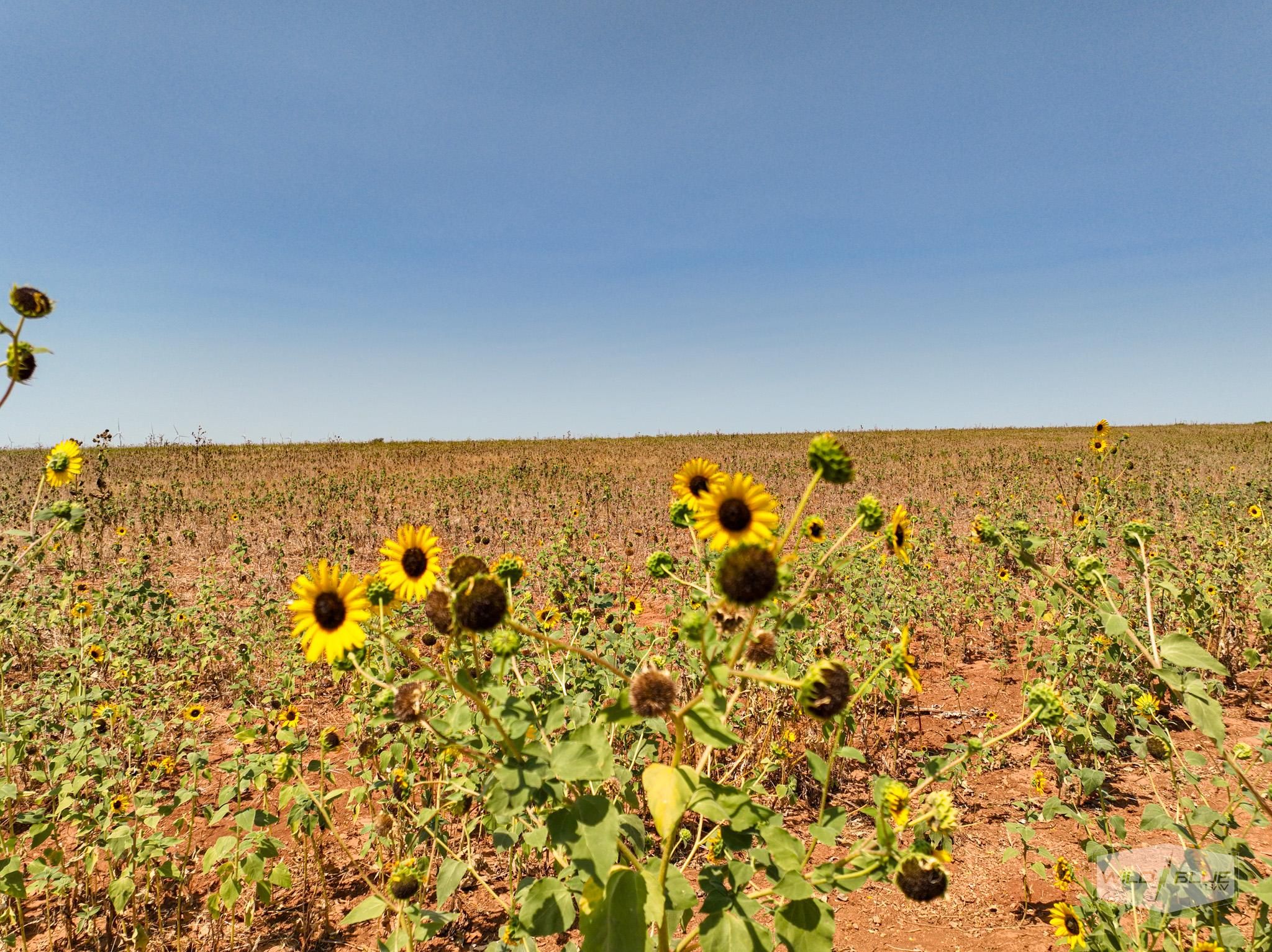 10 acres in Crowell, TX, 79227 LandWatch