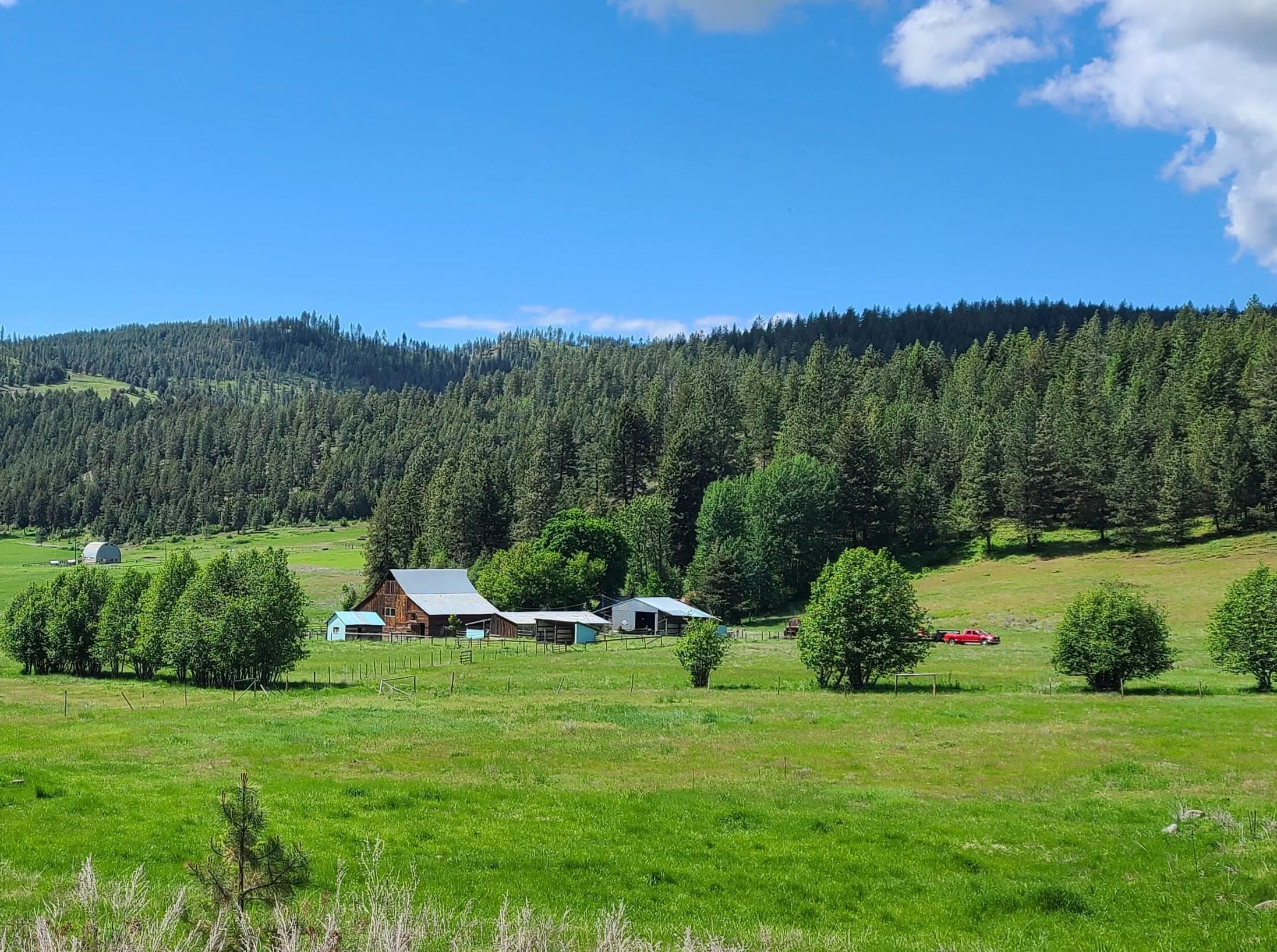 3114 Old Baldy Road, Rice, WA 99167 MLS StrCrk358 LandWatch