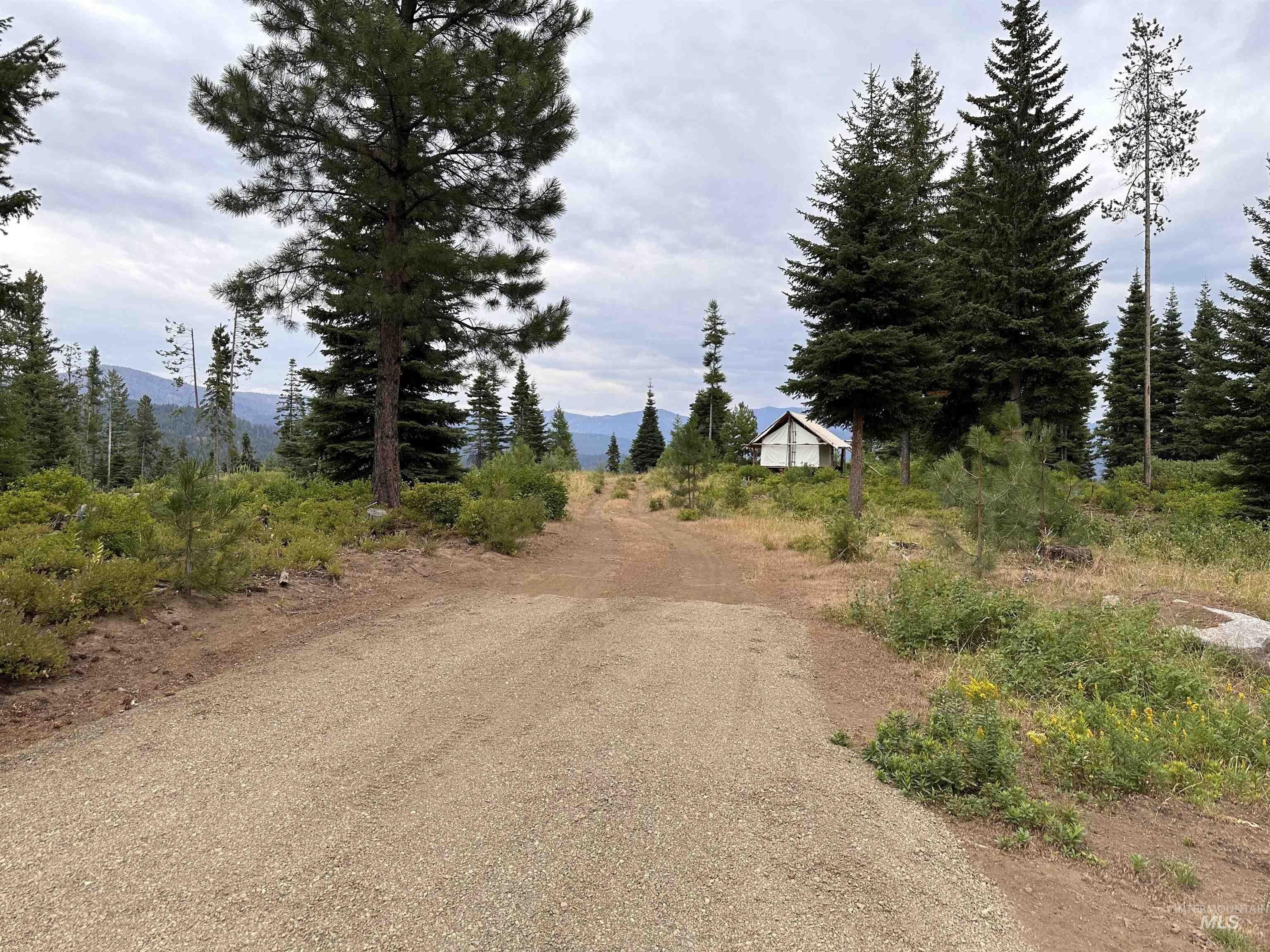 Mccall, Valley County, ID Undeveloped Land for sale Property ID