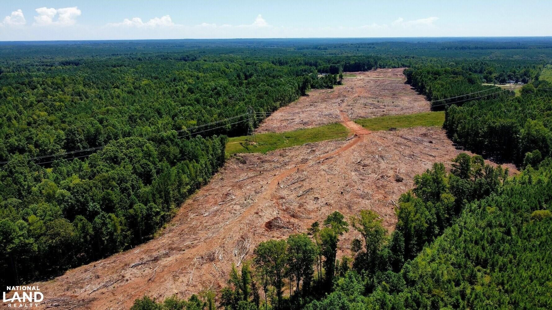 Hollister, Halifax County, NC Recreational Property, Undeveloped Land, Hunting Property for sale