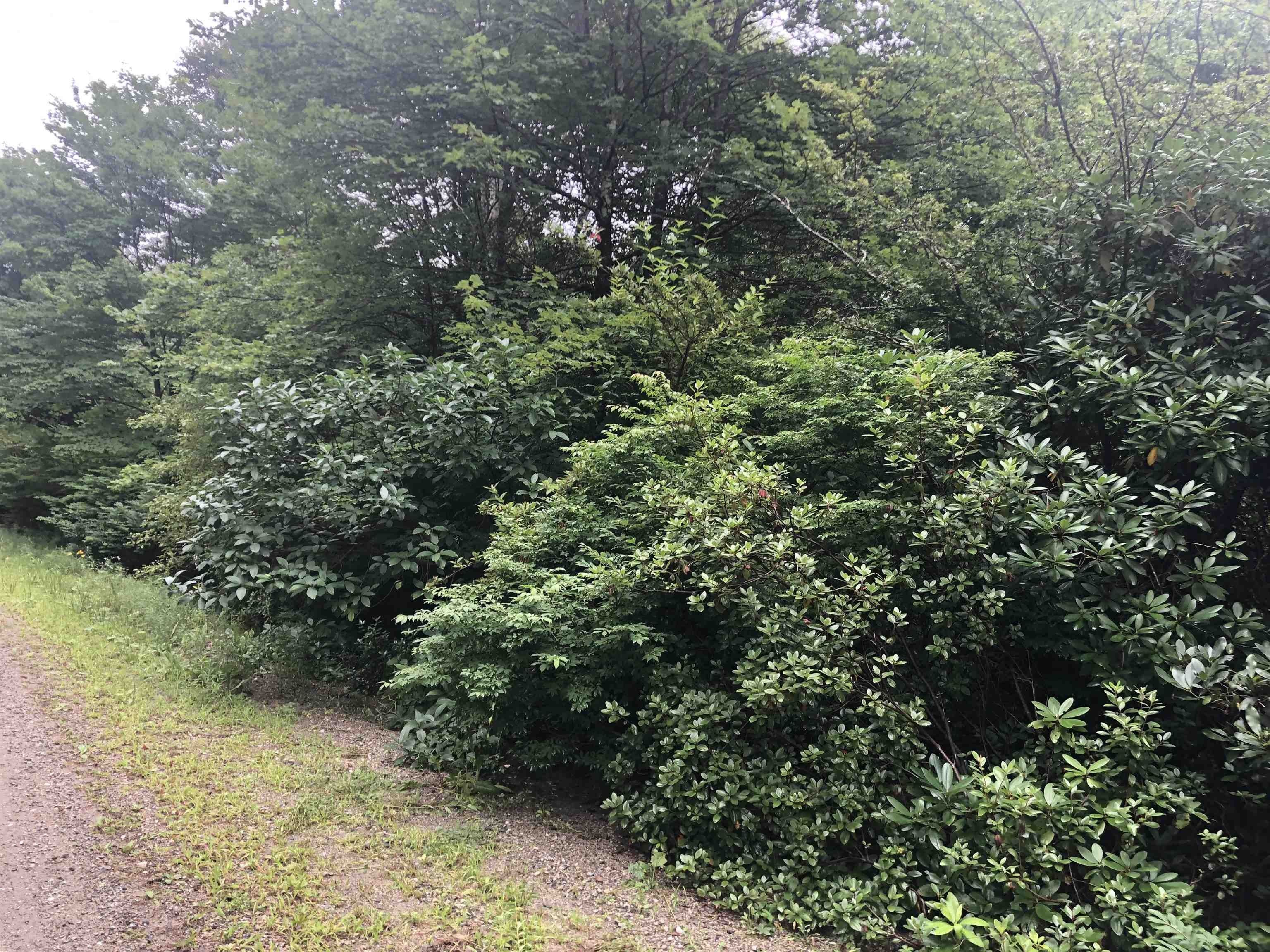 Whitingham, Windham County, VT Undeveloped Land, Homesites for sale Property ID 417420565