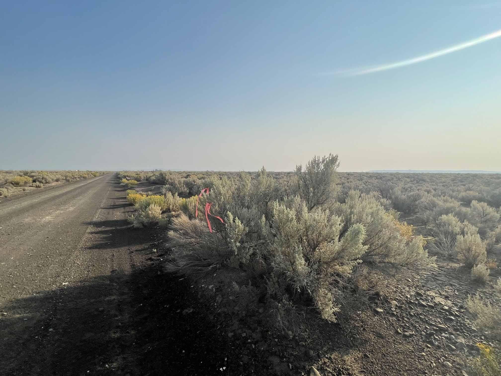 Christmas Valley, Lake County, OR Farms and Ranches for sale Property