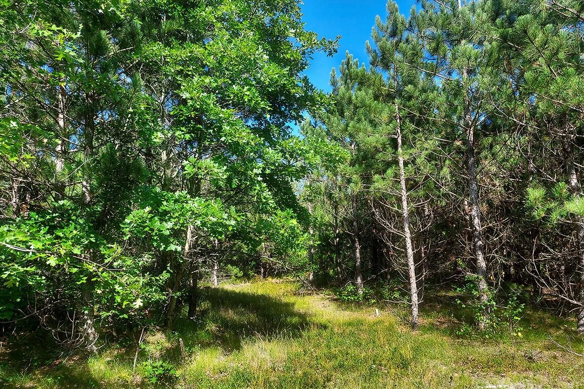 Wisconsin Rapids, Wood County, WI Recreational Property, Hunting