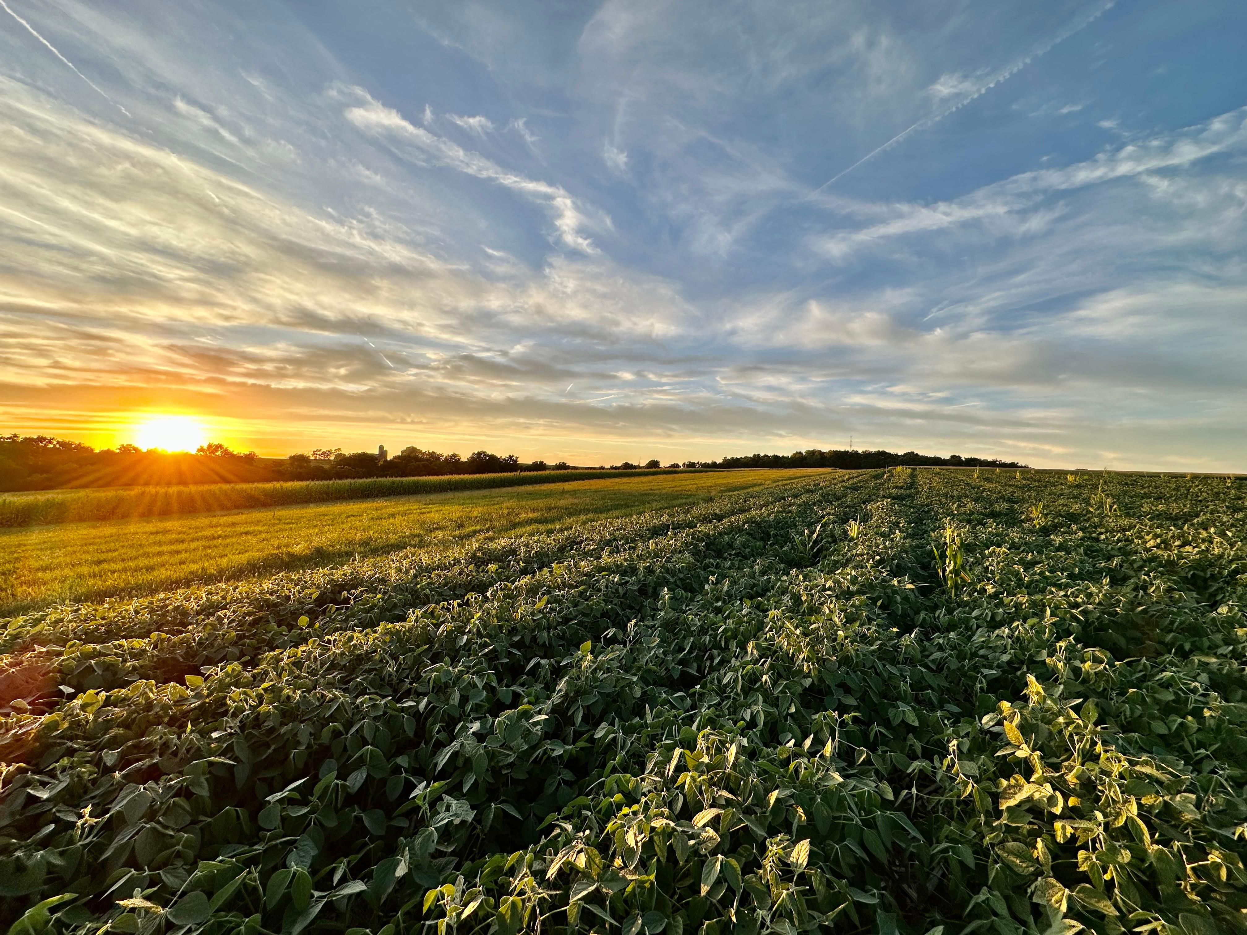 Monticello, Green County, WI Farms and Ranches, House for sale Property
