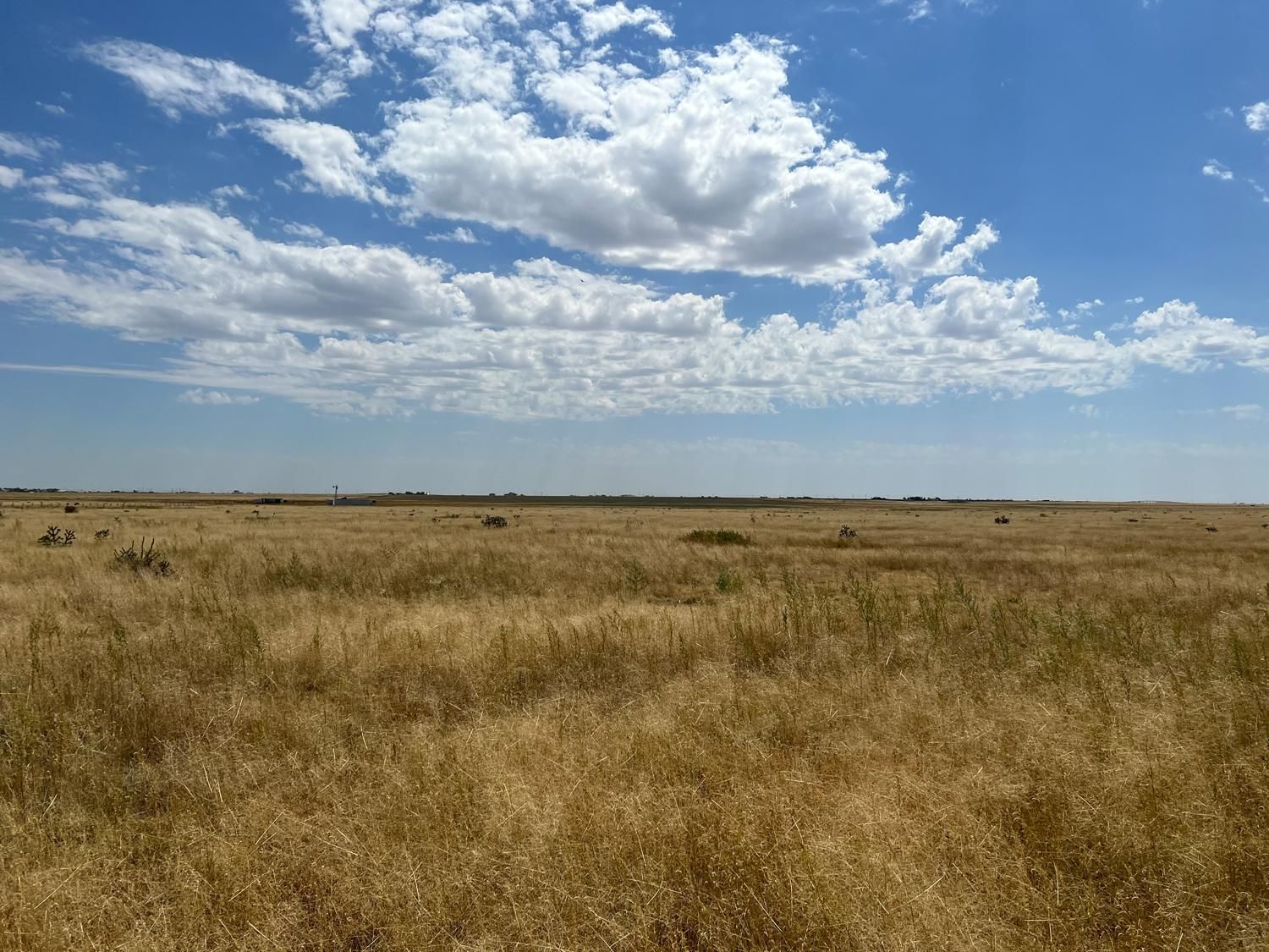 Happy, Swisher County, TX Undeveloped Land for sale Property ID