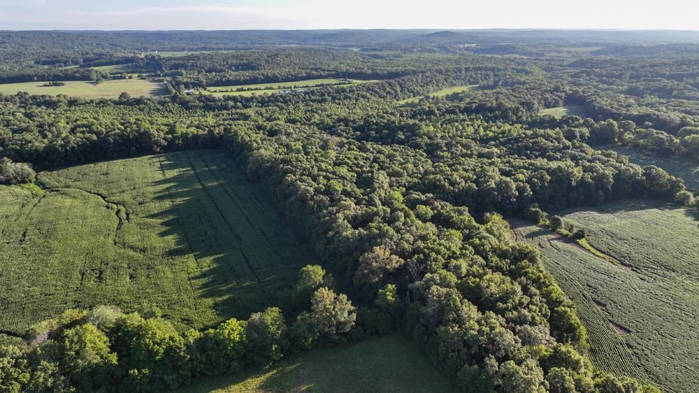 Simpson, Johnson County, IL Recreational Property, Timberland Property
