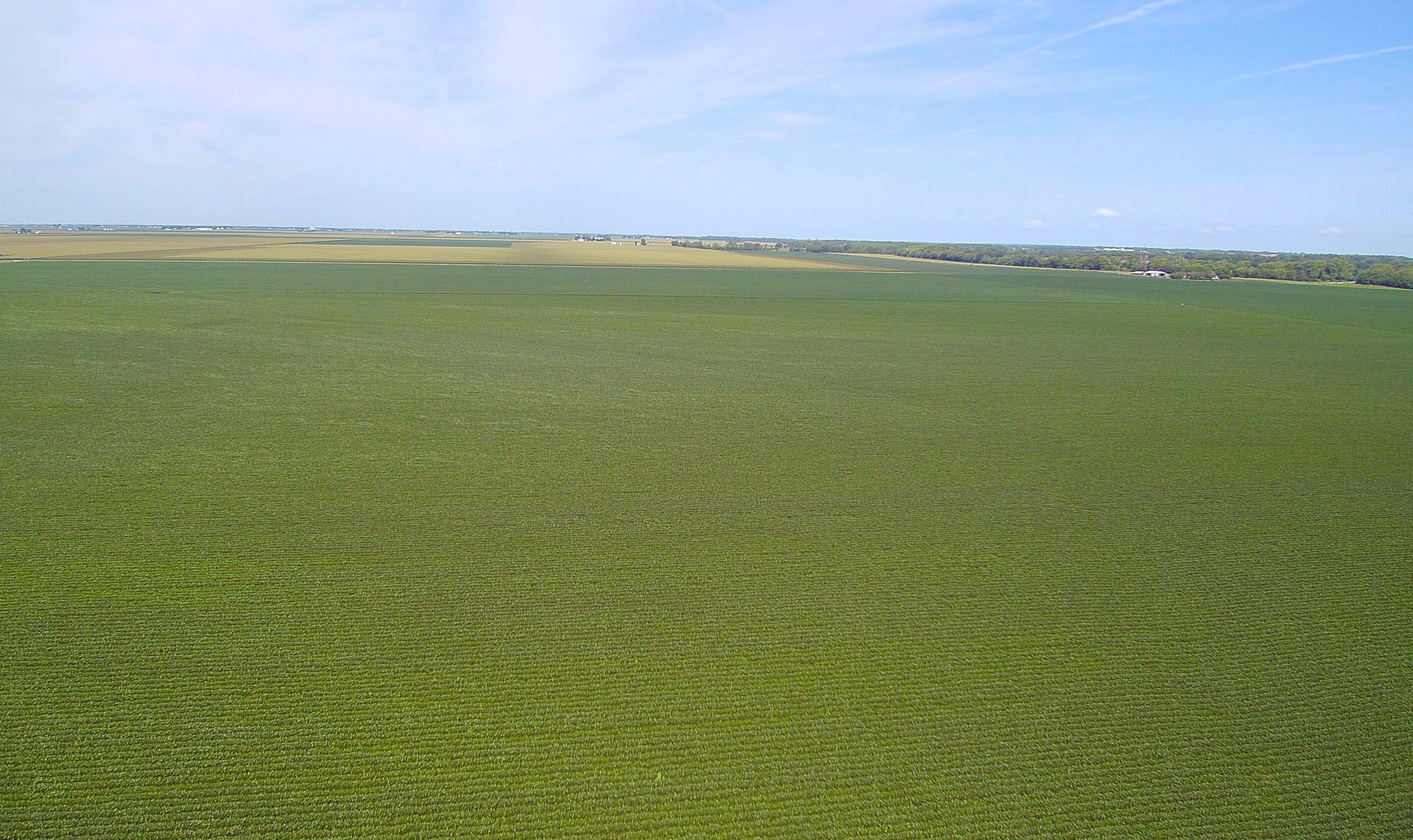 Lincoln, Logan County, IL Farms and Ranches for auction Property ID