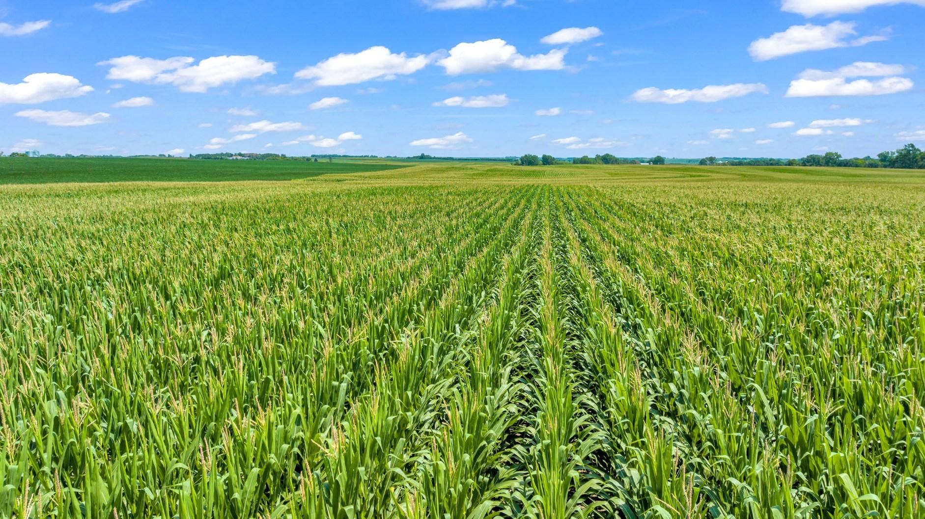 Volga, Lake County, SD Farms and Ranches, Undeveloped Land for auction