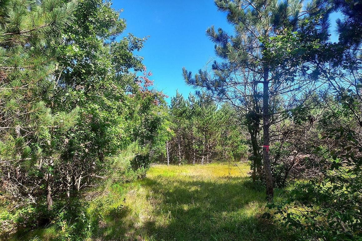 3 acres in Wisconsin Rapids, WI, 54494 LandWatch
