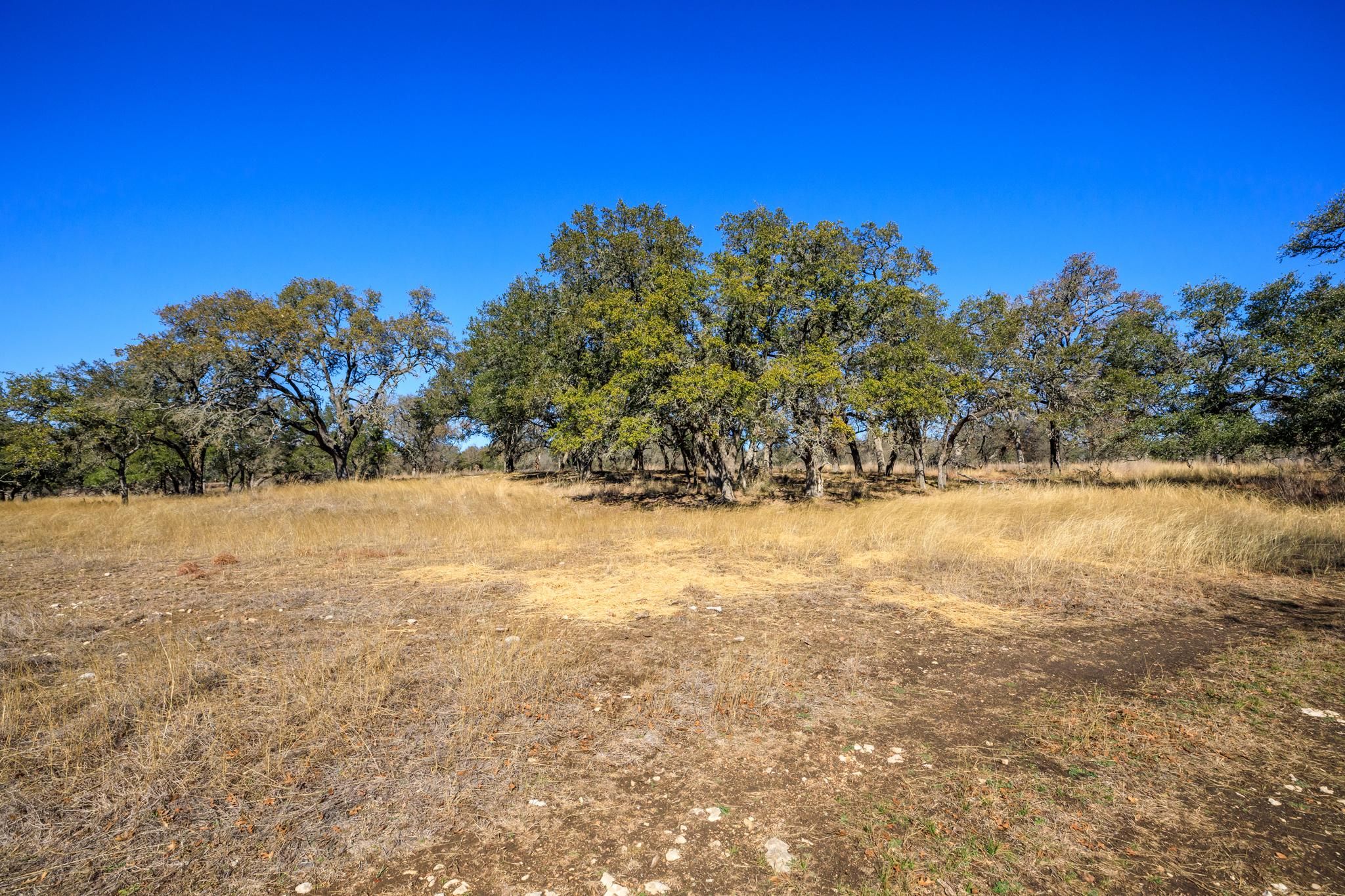 Fredericksburg, Kerr County, TX Farms and Ranches, Hunting Property for sale Property ID