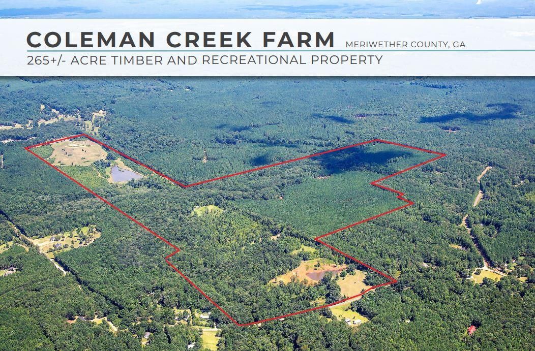 689 Coleman Creek Circle, Luthersville, GA 30251 LandWatch