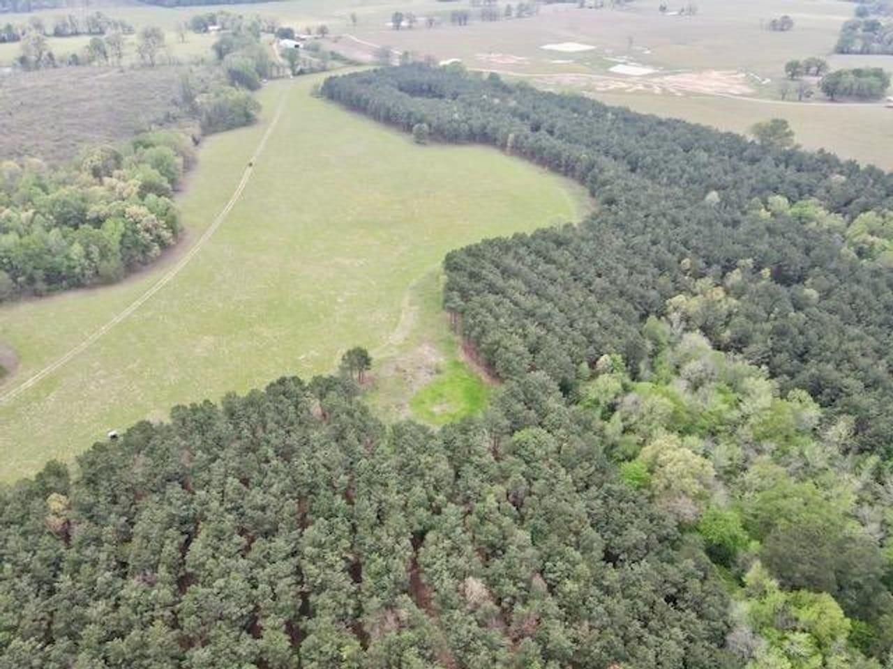 Bagwell, Red River County, TX Farms and Ranches, Recreational Property