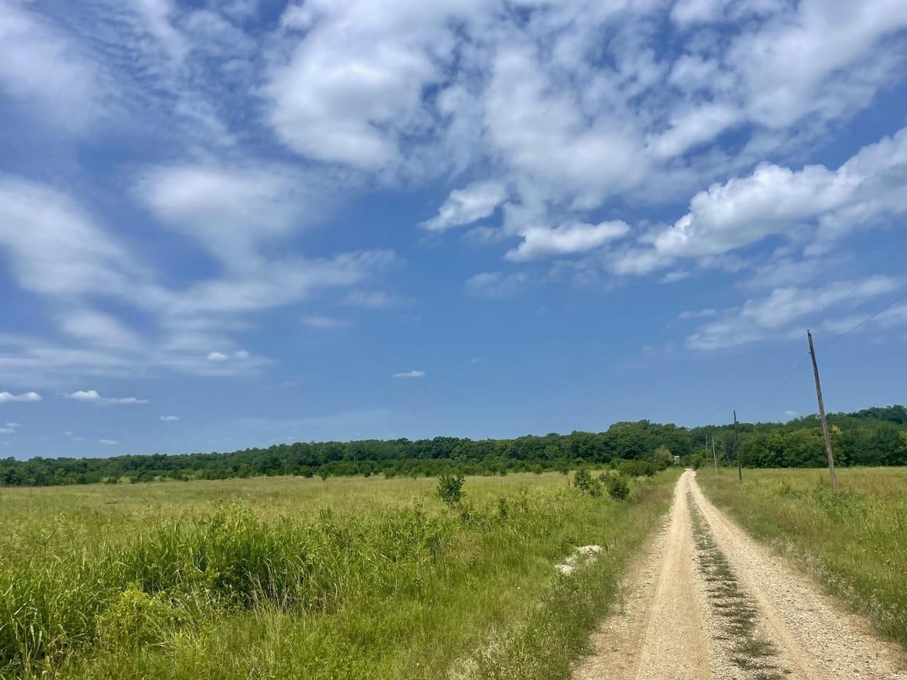 TBD CR 26320, Roxton, TX 75477 MLS 37910 LandWatch