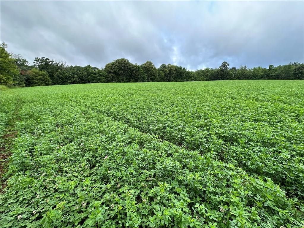 Frederic, Polk County, WI Undeveloped Land for sale Property ID