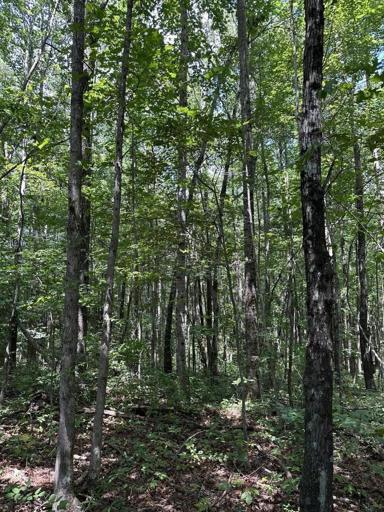 30 Hwy 108, Altamont, TN 37301 MLS 1378505 LandWatch