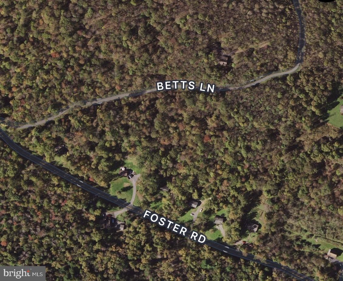 Oakland, Garrett County, MD Undeveloped Land for sale Property ID