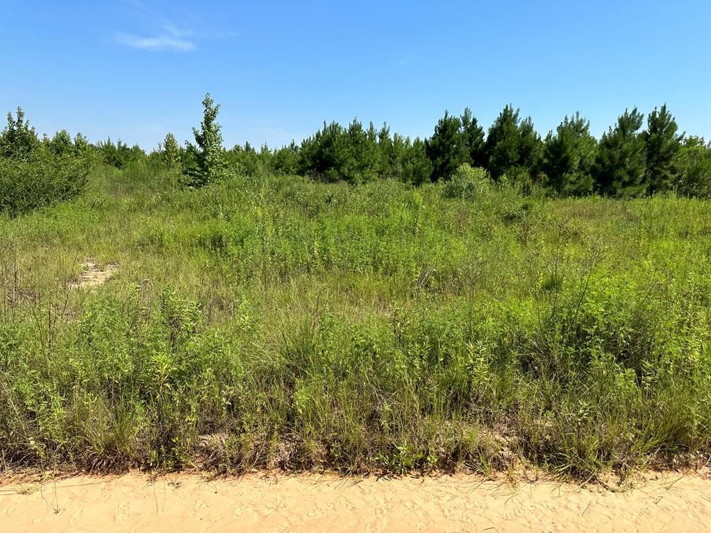 Coffee Springs, Coffee County, AL Homesites for sale Property ID