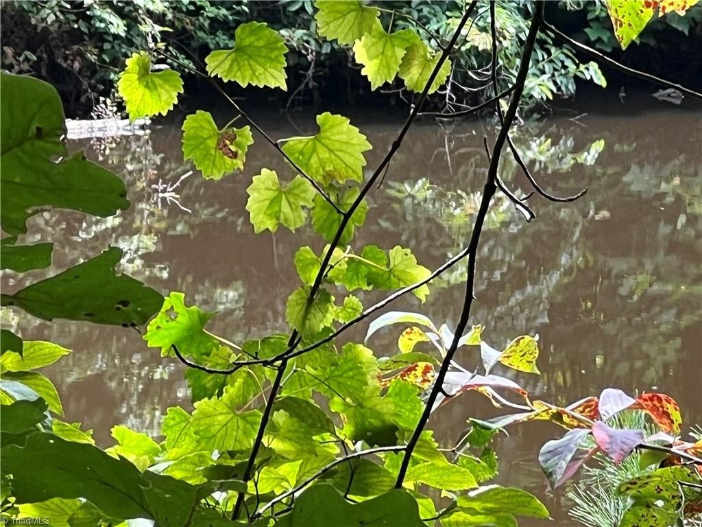 Mount Airy, Surry County, NC Farms and Ranches for sale Property ID