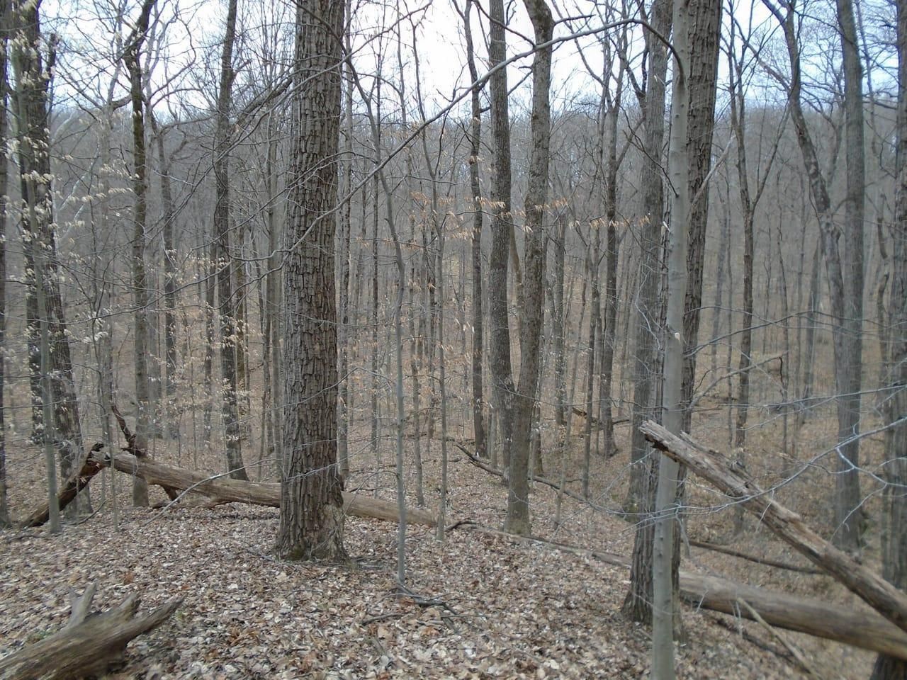 Nashville, Brown County, IN Undeveloped Land for sale Property ID