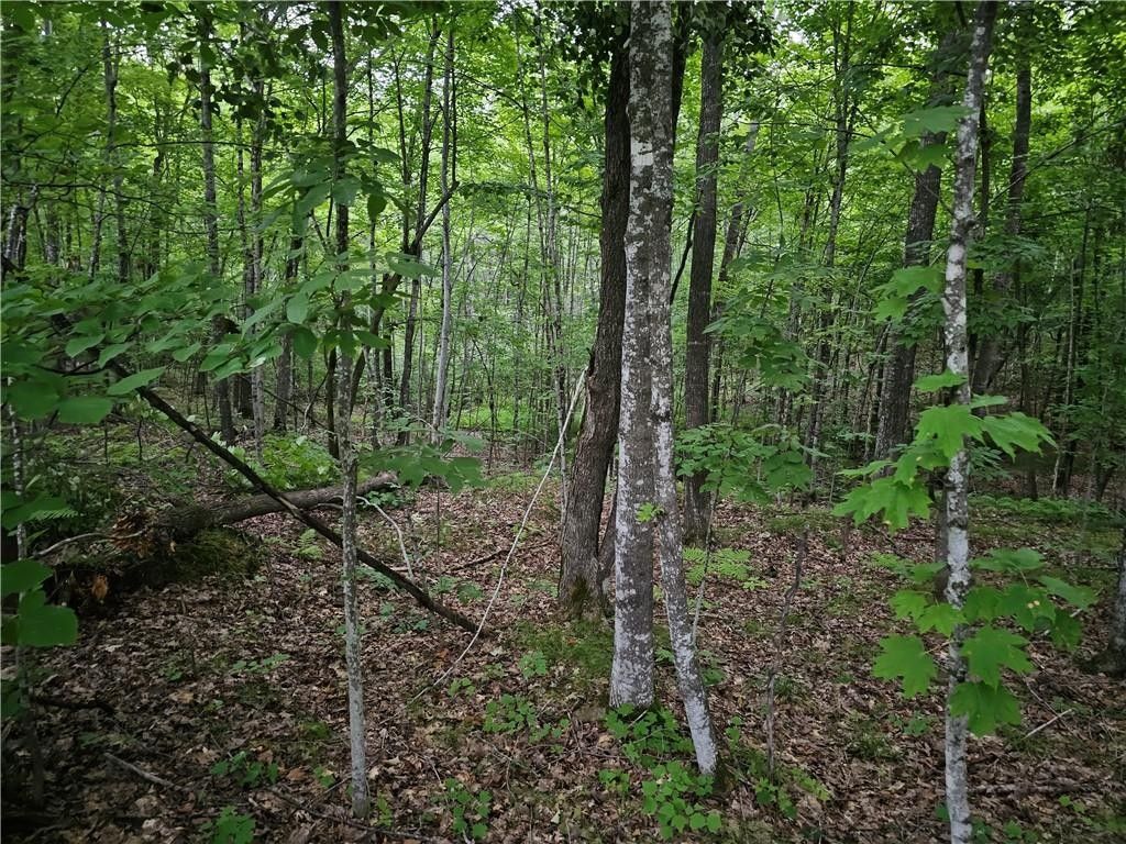 Rusk County, WI Undeveloped Land for sale Property ID