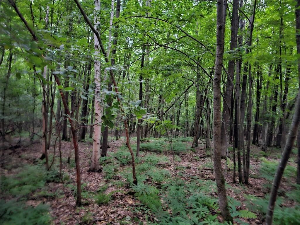 Rusk County, WI Undeveloped Land, Lakefront Property