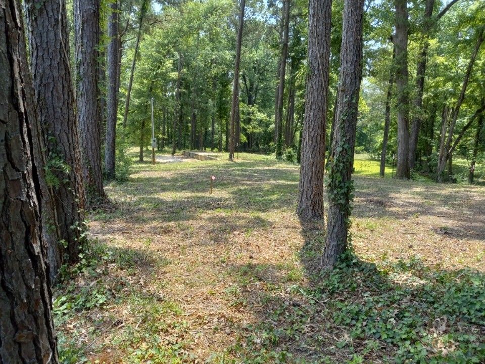 Many, Sabine Parish, LA Undeveloped Land, Lakefront Property