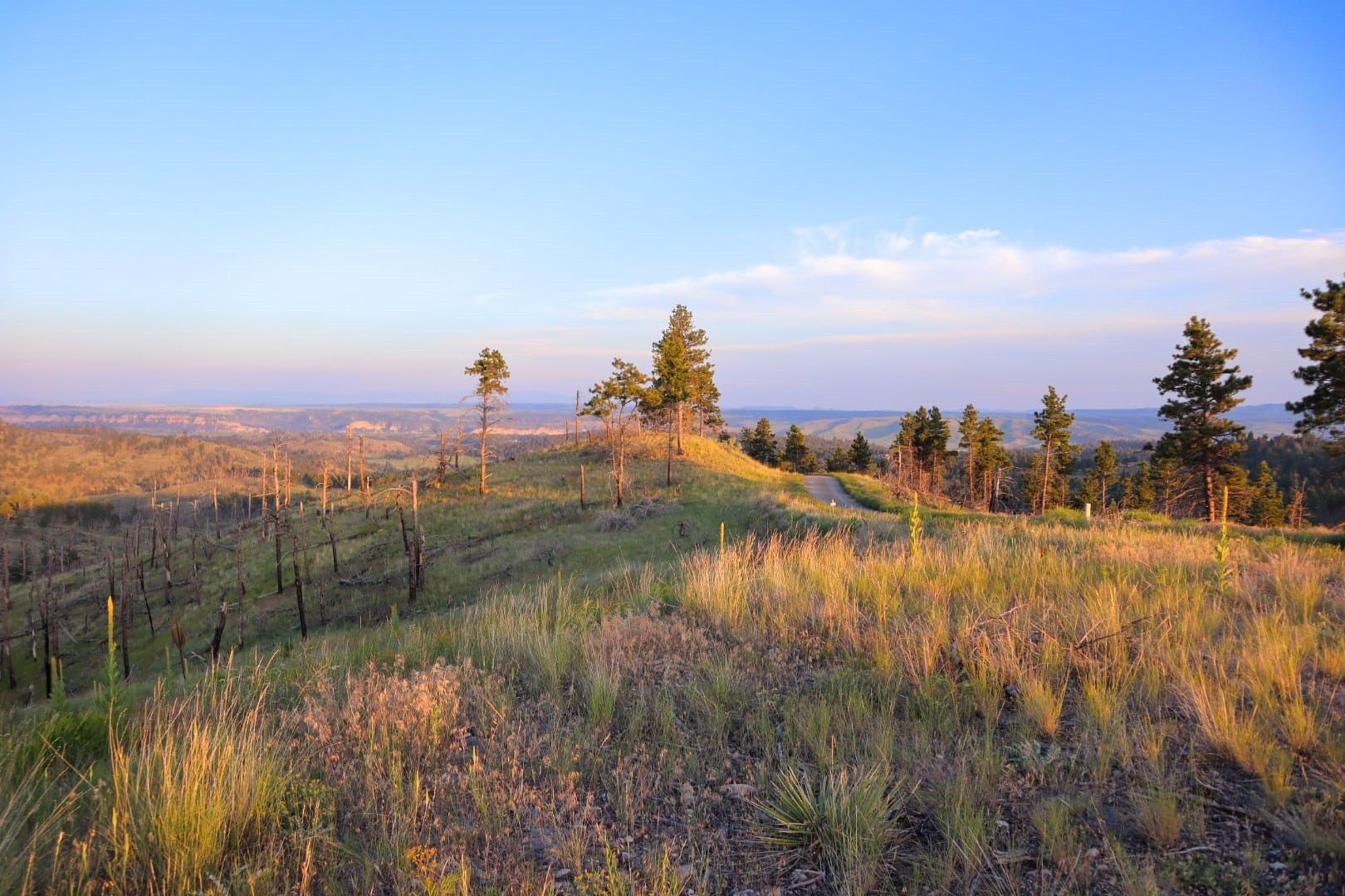 Columbus, Stillwater County, MT Undeveloped Land for sale Property ID